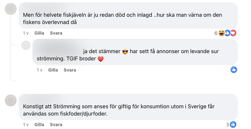 Foto: Facebook/P4 Norrbotten Foto: Facebook/P4 Norrbotten